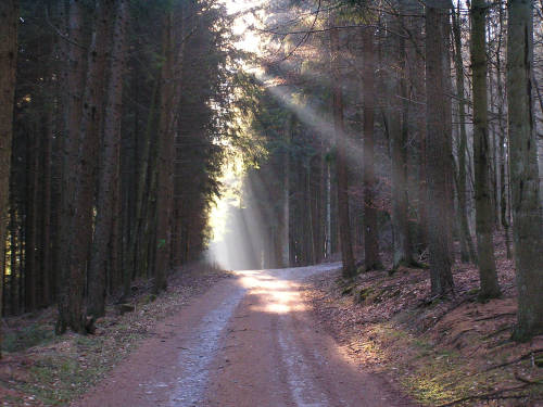 Weiter ging es durch das Elpetal, in dem sich langsam die Sonne zeigte.